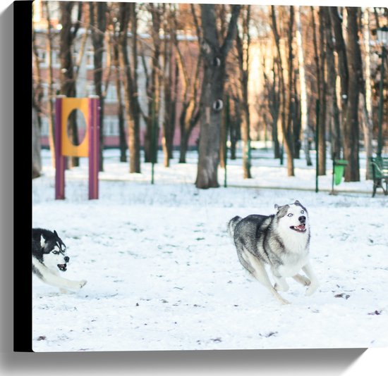 WallClassics - Canvas  - Siberische Husky Spelend in de Sneeuw - 40x40 cm Foto op Canvas Schilderij (Wanddecoratie op Canvas)
