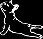 Franse bulldog gestrekt - French bull auto stickers - Laptop sticker - Auto accessories - Sticker volwassenen - 12 x 13 cm - Wit - 250