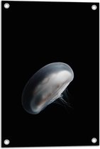 WallClassics - Poster de Jardin - Méduse Witte dans le Noir - 40x60 cm Photo sur Poster de Jardin (décoration murale pour l'extérieur et l'intérieur)