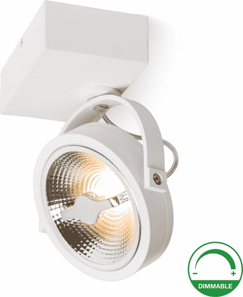 Plafondlamp - Opbouwspot wit - Dimbaar - Draaibaar & kantelbaar - 12W - Dim to warm