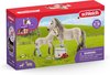 foto van schleich HORSE CLUB - Hannahs verbanddoos - Speelfigurenset - Kinderspeelgoed voor Jongens en Meisjes - 5 tot 12 jaar - 7 Onderdelen