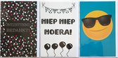 3 Wenskaarten - Ontzettend Bedankt! + Hiep Hiep Hoera + Blanco Kaart Smiley - 12 x 17 cm – BED-306