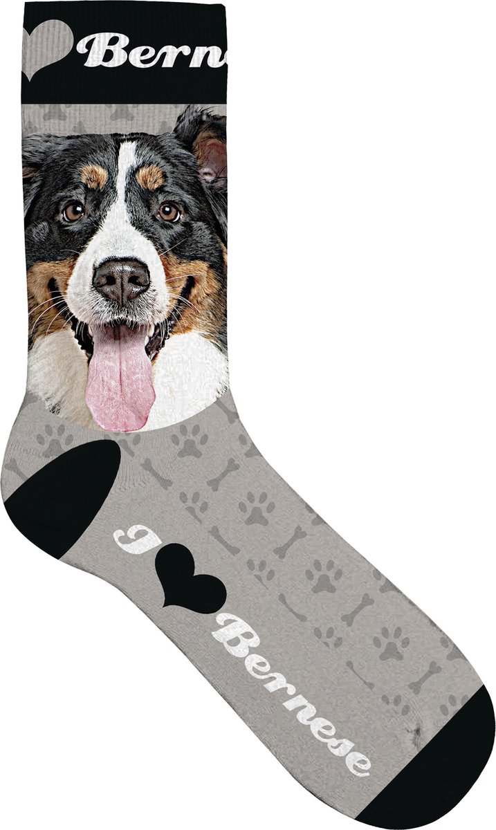 Plenty Gifts Sock Bernese Mountain Dog 39-44