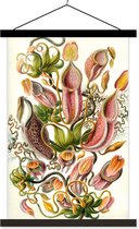 Posterhanger incl. Poster - Ernst Haeckel - Bloemen - Perfect als Boho, Bohemian en Ibiza Decoratie - Ibiza style - Zwarte Latten 60x90