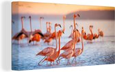 OneMillioncanvasses - Canvas - Schilderij vogels - Flamingo - Zonsondergang - Vogel - Tropisch - Foto op canvas - 80x40 cm - Schilderijen op canvas - Wanddecoratie