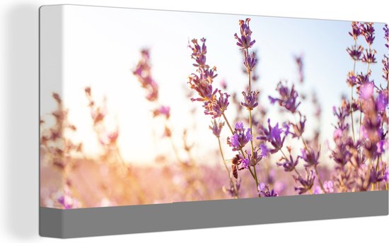 Canvas schilderij - Bloemen - Lavendel - Bij - Zon - Licht - Foto op canvas - Schilderij bloemen - 40x20 cm - Muurdecoratie - Woonkamer