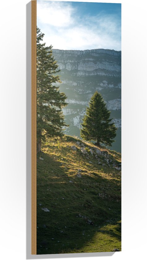 WallClassics - Hout - Twee Boompjes op een Berg - 30x90 cm - 12 mm dik - Foto op Hout (Met Ophangsysteem)