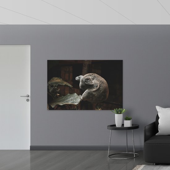 WallClassics - Poster Glossy – Koala Endormi - 150x100 cm Photo sur Papier Poster avec Finition Brillante