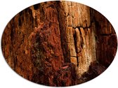 WallClassics - Dibond Ovaal - Bruine Rostwand - 96x72 cm Foto op Ovaal (Met Ophangsysteem)