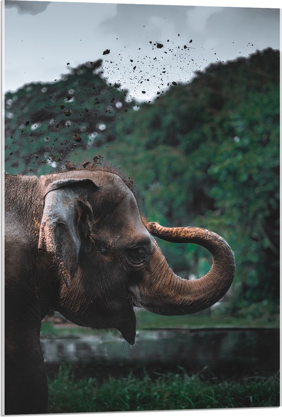 WallClassics - Acrylglas - Olifant Spelend met Zand - 60x90 cm Foto op Acrylglas (Met Ophangsysteem)