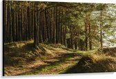 WallClassics - Canvas  - Mooi Zonlicht in het Bos - 150x100 cm Foto op Canvas Schilderij (Wanddecoratie op Canvas)