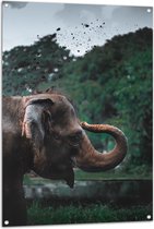 WallClassics - Poster de Jardin - Éléphant Jouant avec du Sable - 80x120 cm Photo sur Poster de Jardin (décoration murale pour l'extérieur et l'intérieur)