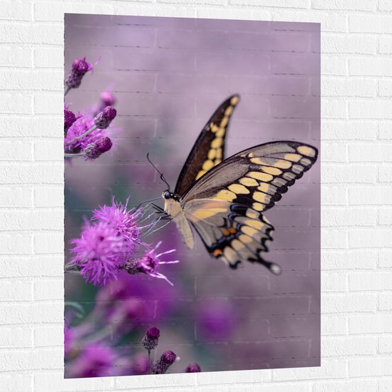 WallClassics - Muursticker - Vlinder op Paarse Bloem - 80x120 cm Foto op Muursticker