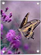 WallClassics - Tuinposter – Vlinder op Paarse Bloem - 30x40 cm Foto op Tuinposter  (wanddecoratie voor buiten en binnen)