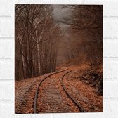 WallClassics - Muursticker - Treinrails tussen Bossen - 30x40 cm Foto op Muursticker