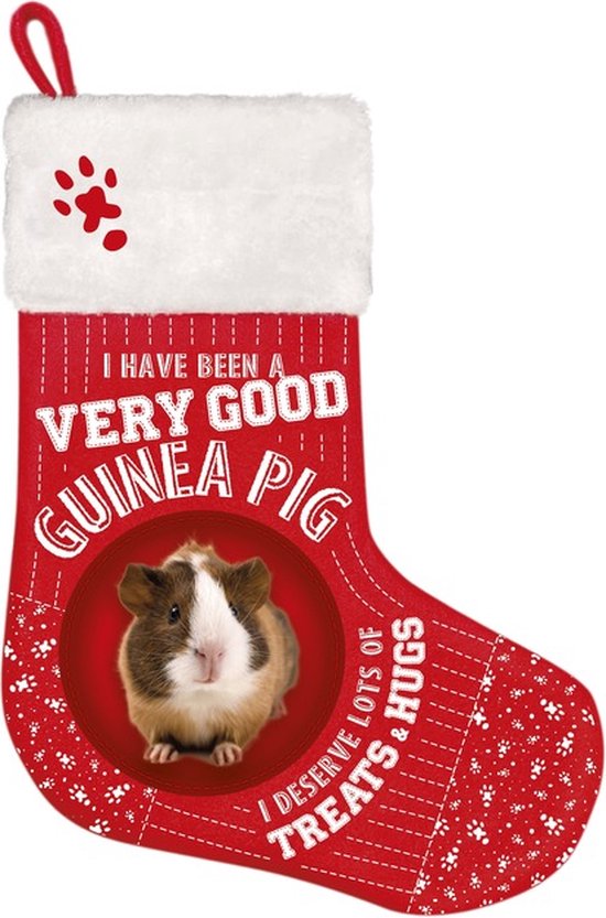 Kerst stocking Cavia bol