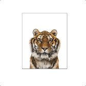 PosterDump - Safari dieren tijger - Baby / kinderkamer poster - Dieren poster - 40x30cm