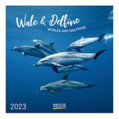 Kalender - 2023 - Walvissen & dolfijnen - 30x30cm