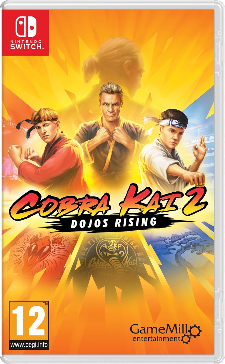 Cobra Kai 2 Dojos Rising