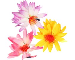 Tropische haarbloem - 4x stuks - op clip - 8 cm - hawaii thema - haaraccessoires - Haarspeld/clip - Hawaii verkleed feest accessoires