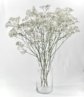 Gipskruid - Droogbloemen - 75 cm - Vers - 5 takken - Natuurlijk Bloemen