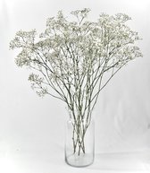 Fleurs Séchées Gypsophile - Lot De 60 Mini Branches - Pour Bouquets, Déco Mariage, Maison, Photos - Couleur Verte