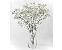 Gipskruid - Droogbloemen - 75 cm - Vers - 5 takken - Natuurlijk Bloemen