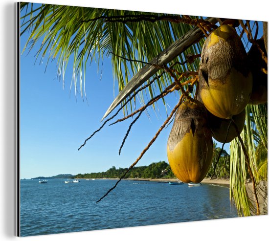 Tropische taferelen in de kokosnoot palmen op het strand Aluminium 120x80 cm - Foto print op Aluminium (metaal wanddecoratie)