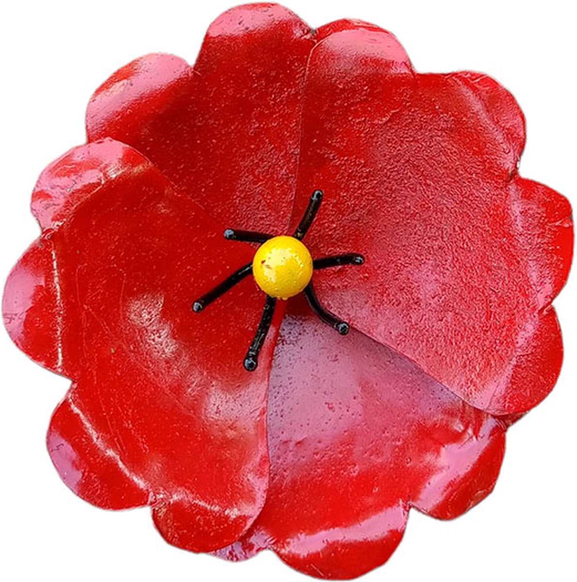 Holzwurm