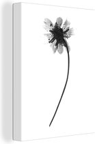 Canvas Schilderij Gedroogde bloem op witte achtergrond - zwart wit - 60x80 cm - Wanddecoratie