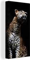 Canvas Schilderij Luipaard - Zwart - Schaduw - 20x40 cm - Wanddecoratie