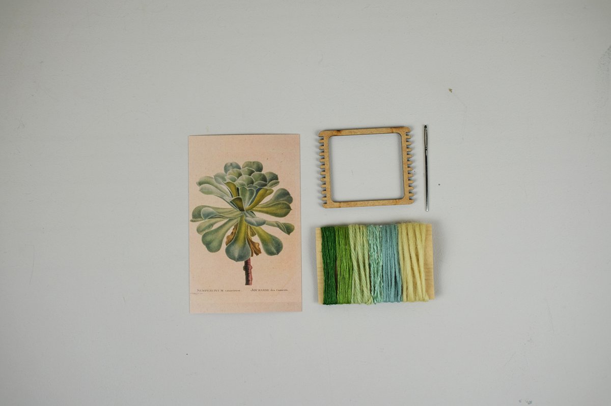 FynBosch Design Groen Vetplant - Botanische Bloemen DIY Weefpakket Klein -  Leer Weven - Mini Weaving with Flowers - Weefraam - Weefbord - Botanical Hobby - Natuurlijke garens - Pierre-Joseph Redouté Inspired