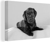 Canvas Schilderij Labrador puppy op deken - zwart wit - 90x60 cm - Wanddecoratie