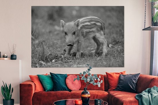 Tableau sur toile Veau sanglier dans l'herbe - noir et blanc - 150x100 cm - Décoration murale
