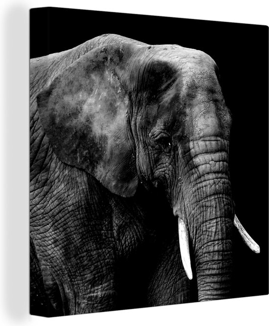Tableau Toile Éléphant - Animaux - Zwart - Wit - 20x20 cm - Décoration murale