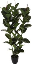 Atmosphera Kunstplant - Ficus Robusta - H120cm