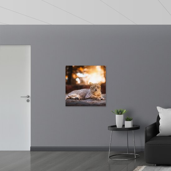 WallClassics - Drapeau - Chat paresseux - Photo 80x80 cm sur drapeau polyester