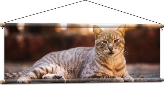 WallClassics - Affiche Textile - Chat Paresseux - 120x40 cm Photo sur Textile