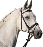 STAR Bridle Lifestyle | Full