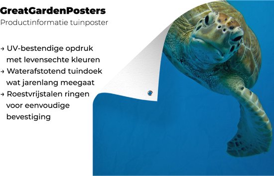 Toile de jardin Impression photo contact visuel avec tortue - 100x100 cm
