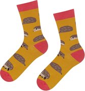 vrolijke sokken Egel maat 35-40