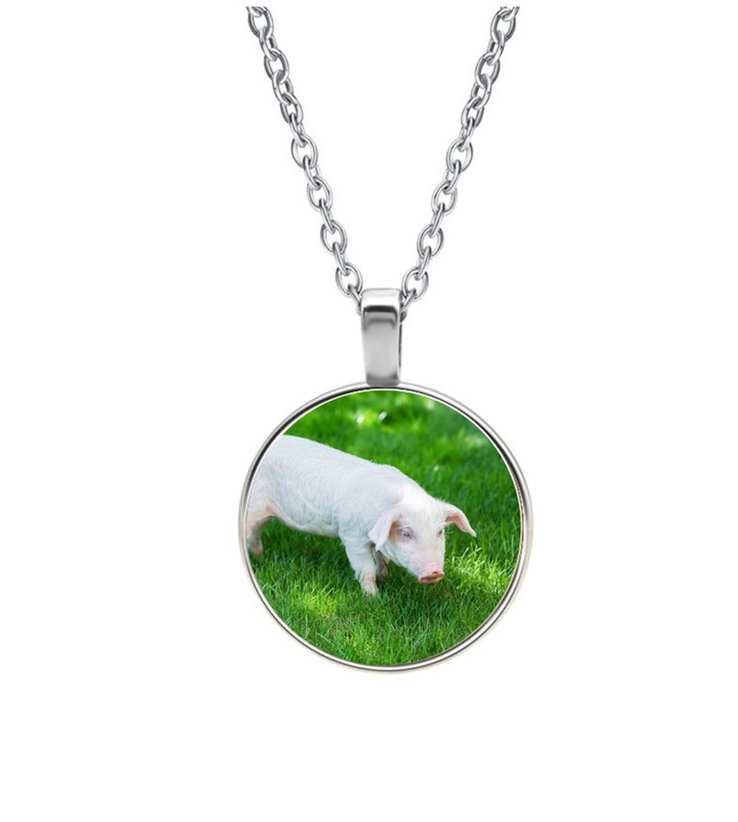 Ketting Glas - Varken