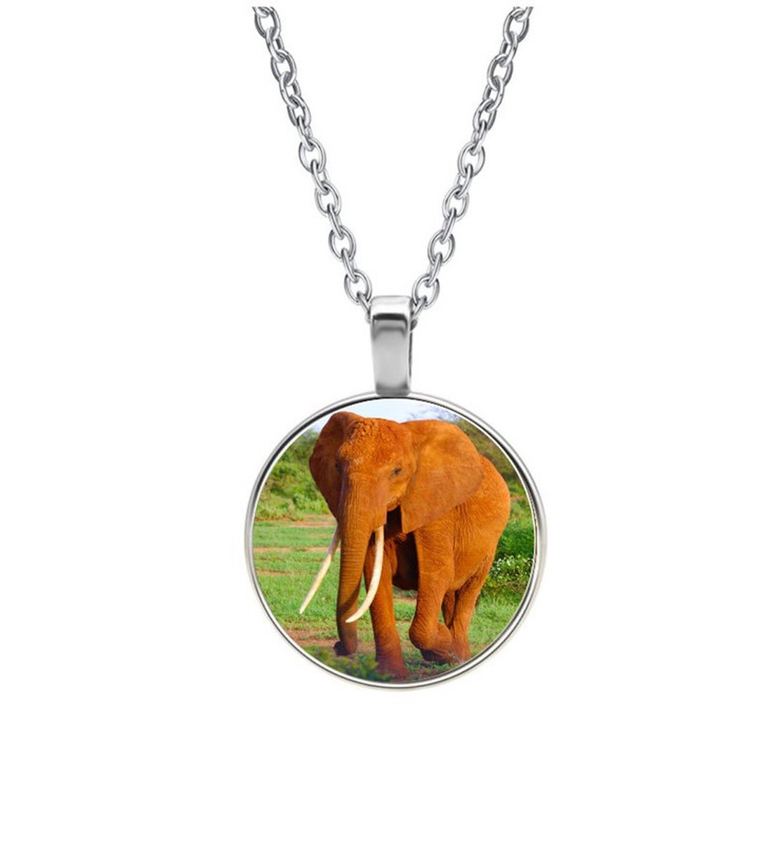 Ketting Glas - Olifant