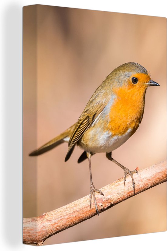 Tableau Toile Vogel - Branche - Rouge-gorge - 30x40 cm - Décoration murale