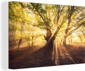 Tableau Toile Arbre - Forêt - Soleil - 60x40 cm - Décoration murale