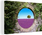Canvas Schilderij Lavendel - Doorkijk - Bloemen - Zomer - 30x20 cm - Wanddecoratie