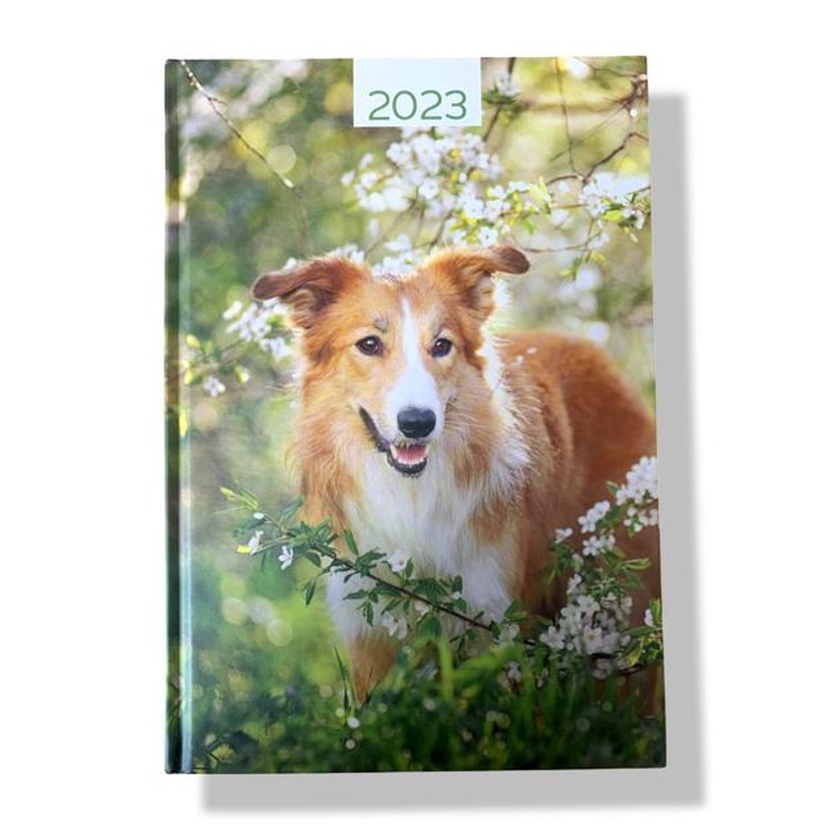 Hardcover Agenda 2023 - Hond - A5 15x21cm - 1w/2p
