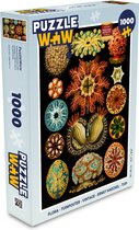 Puzzel Vintage - Ernst Haeckel - Zeedier - Natuur - Zee - Kunst - Legpuzzel - Puzzel 1000 stukjes volwassenen