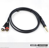 2x RCA naar 6.3mm stereo Jack kabel, 1m, m/m