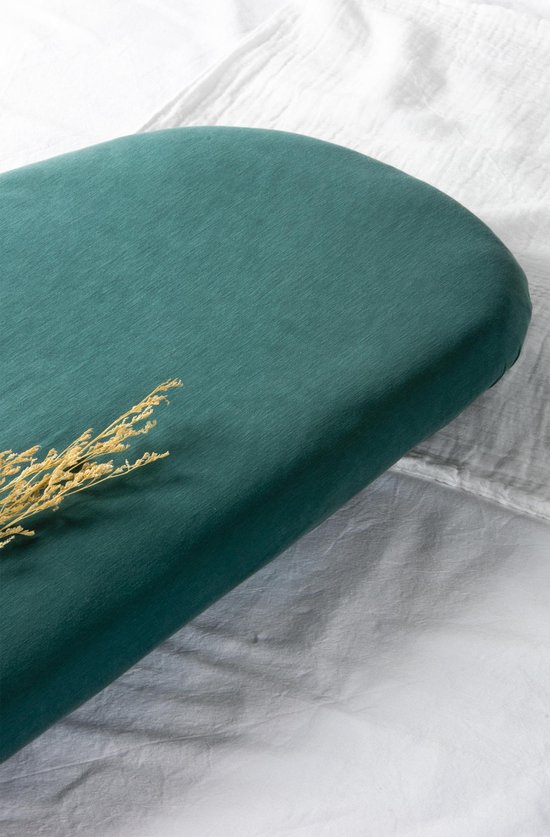 Lot De 20 Grandes Serviettes D'anniversaire - Bordure Verte